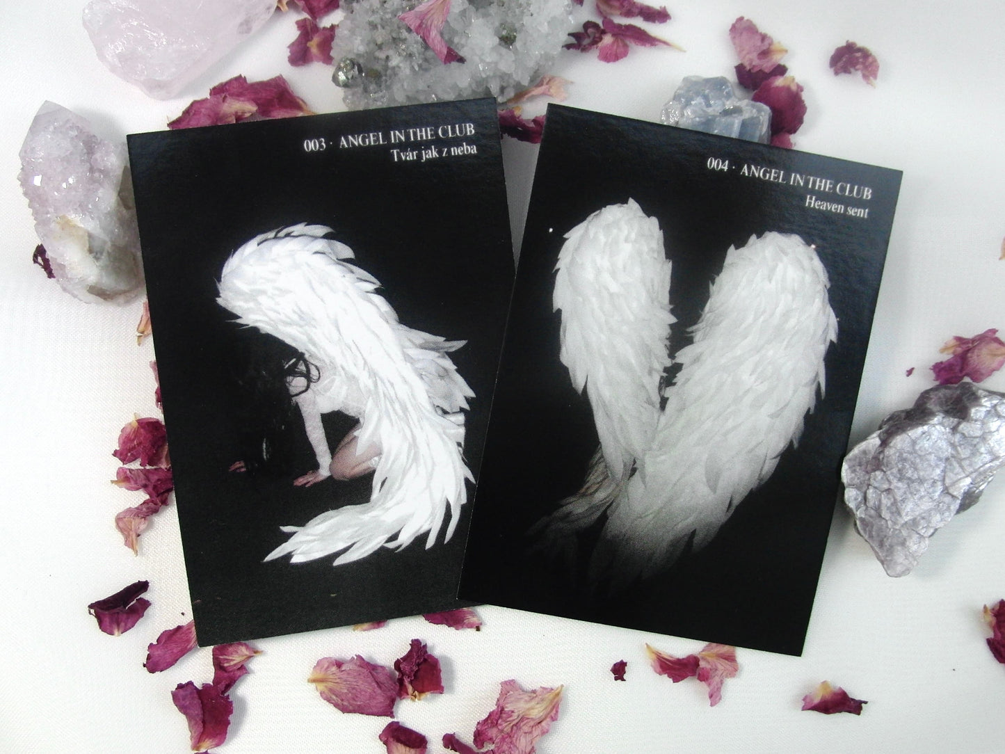 angel cards: vol.01