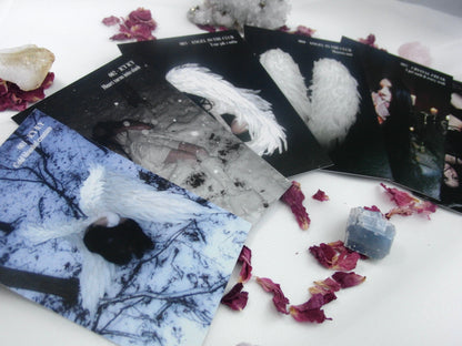 angel cards: vol.01