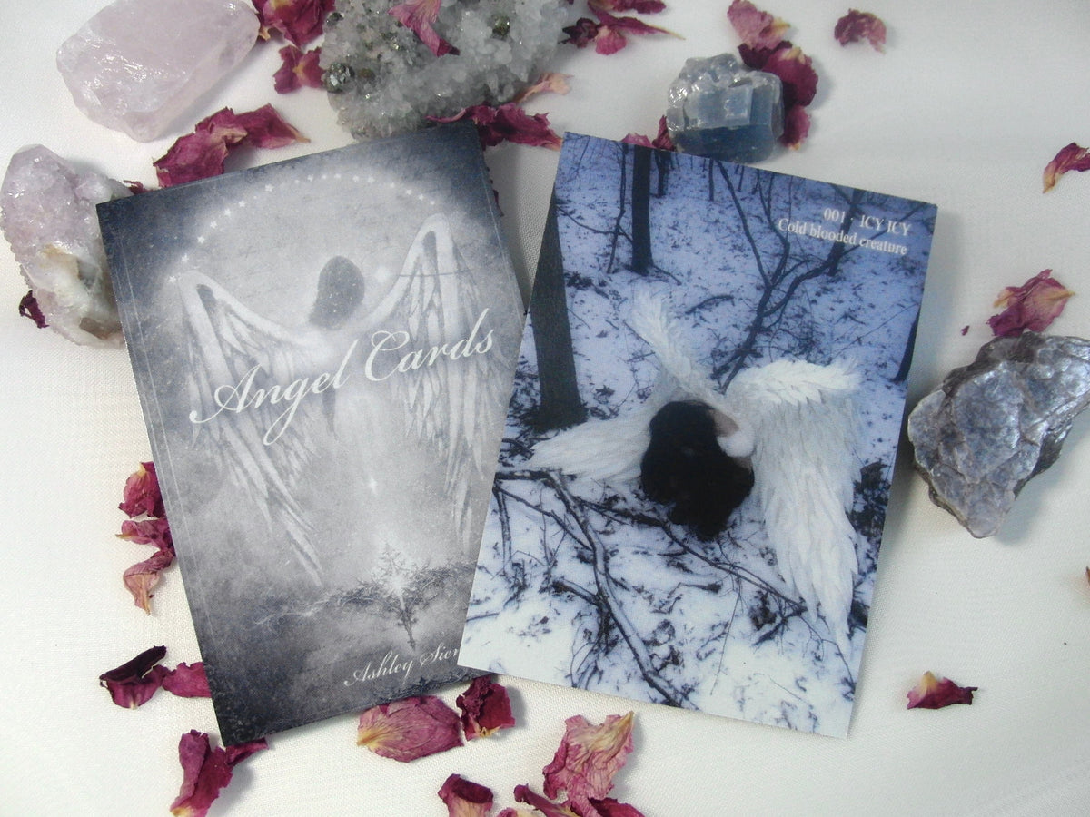 angel cards: vol.01
