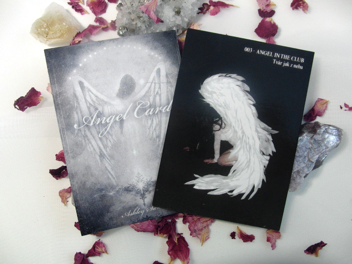 angel cards: vol.01